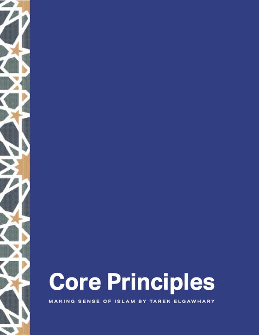 MSI Core Principles